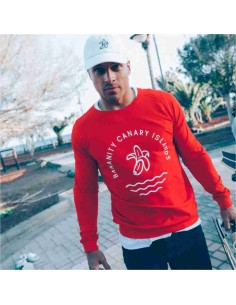 Light Sweatshirt Wave Seal