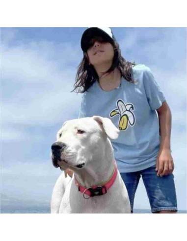 Kids Banana Logo Basic Organic T-shirt Sky Blue